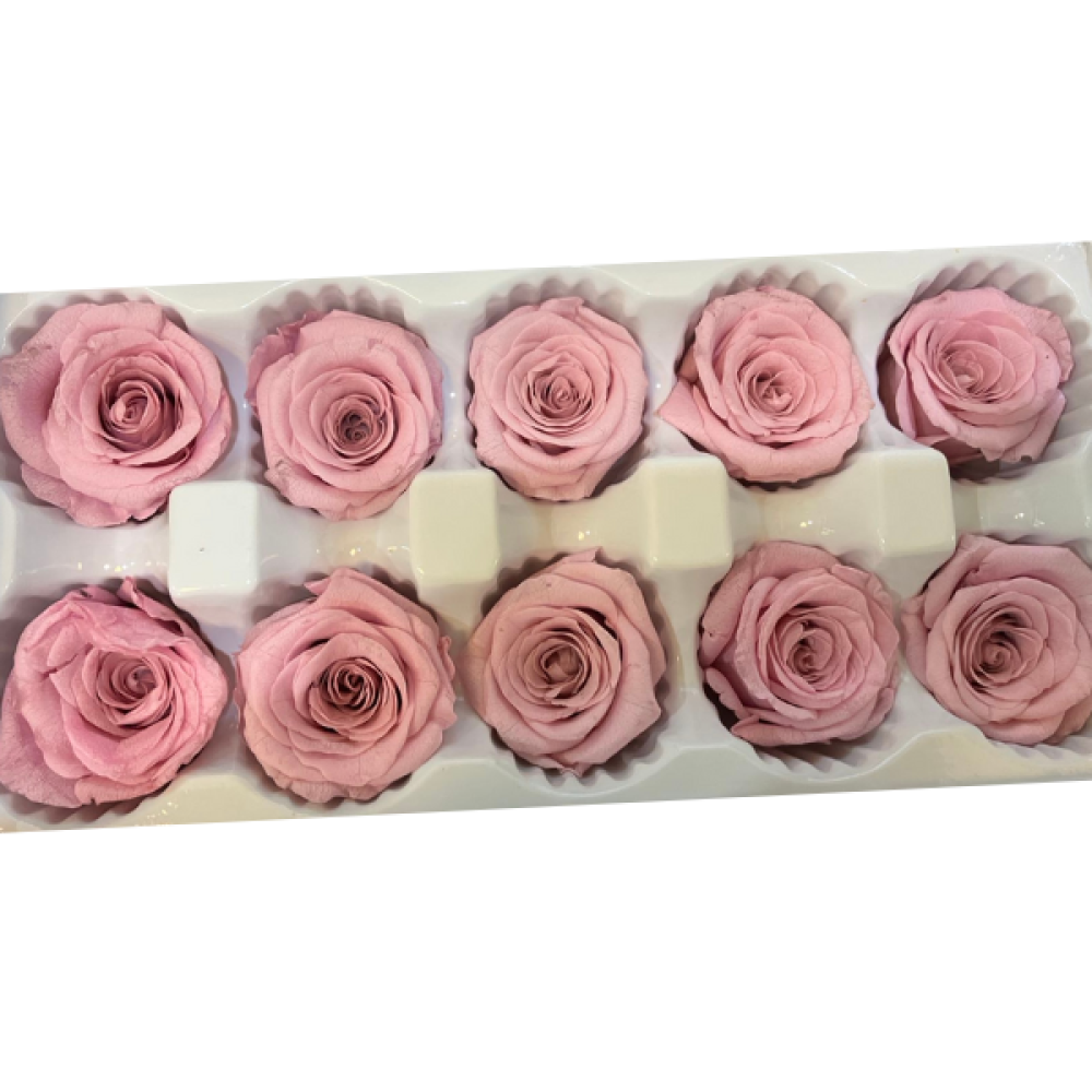 Preserved Roses Pink | Long-lasting Roses